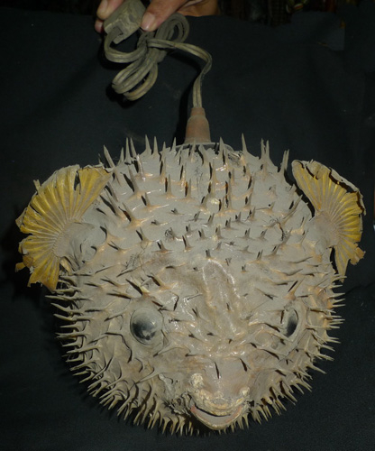 Puffer - globe fish (can be used as a lamp)