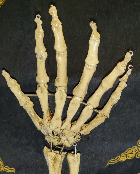 Six fingers skeletons