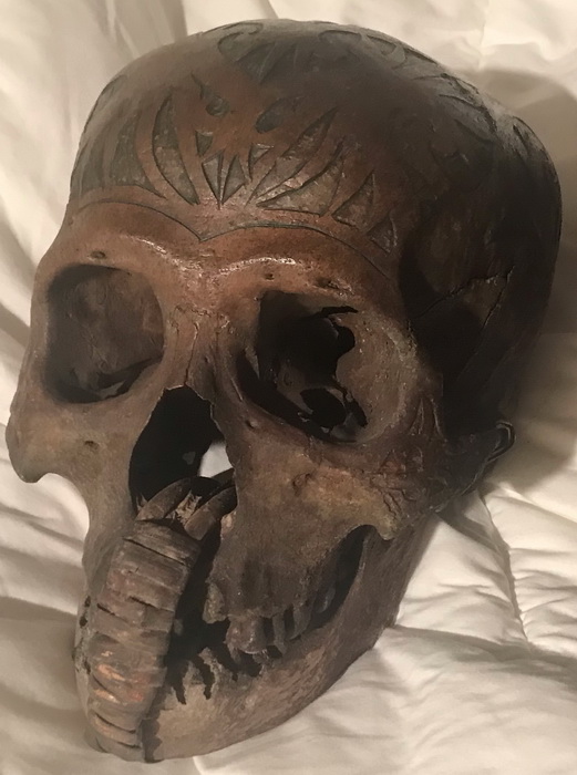 Dayak skull, located in the USA