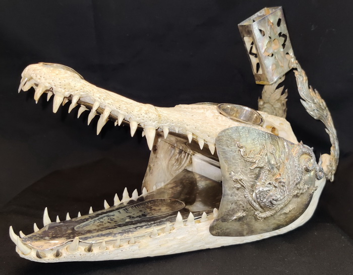 Decorated crocodile skeleton