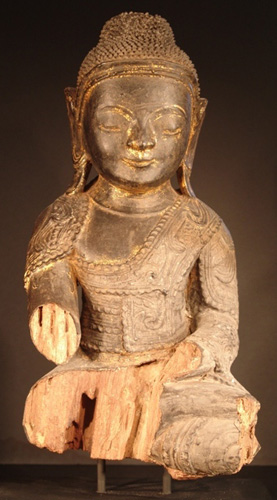 Shan Buddha baby faced, located in Europe