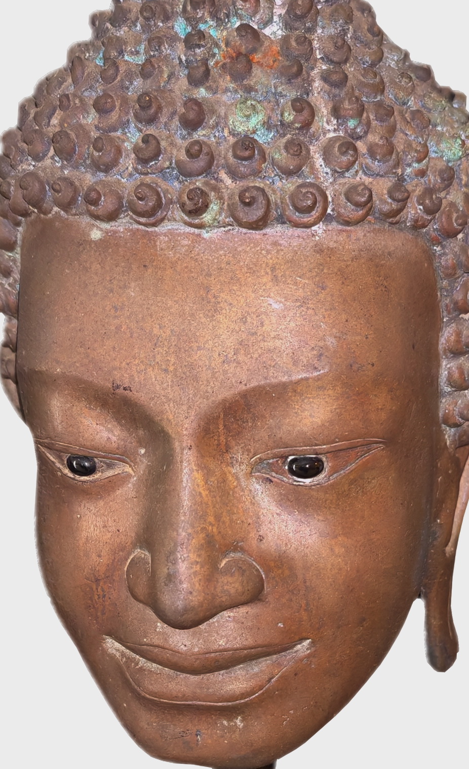 Buddha's head